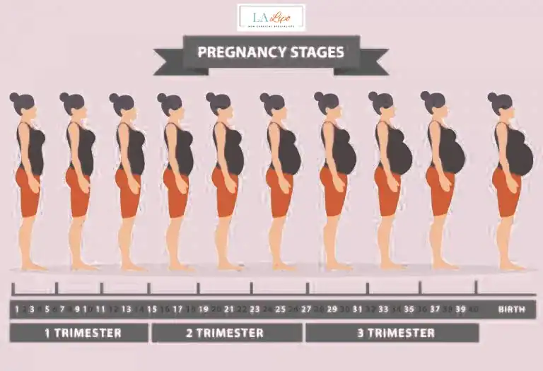 First Trimester (Weeks 1–12): Early Changes You Might Not Notice King's Heath
